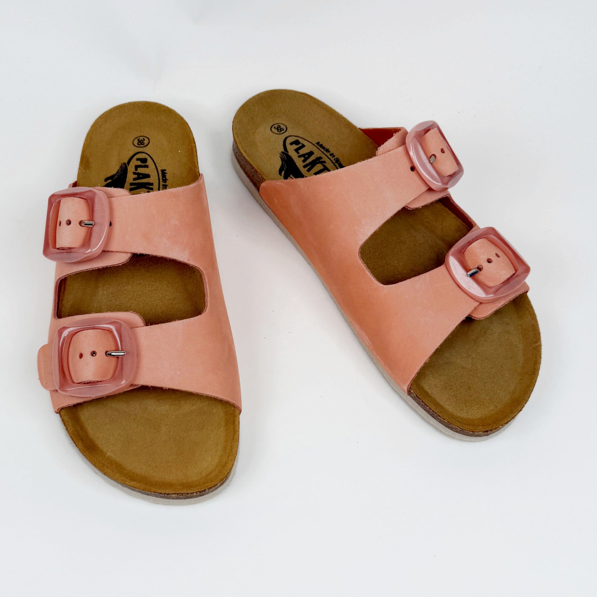 Plakton Florida Sinai Plakton