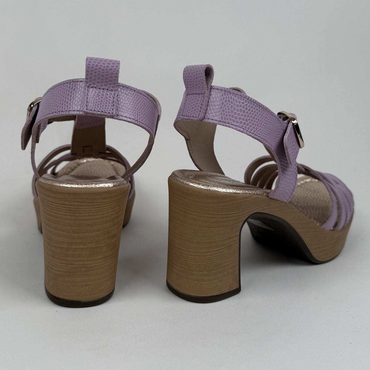 Penelope 6330 lavender