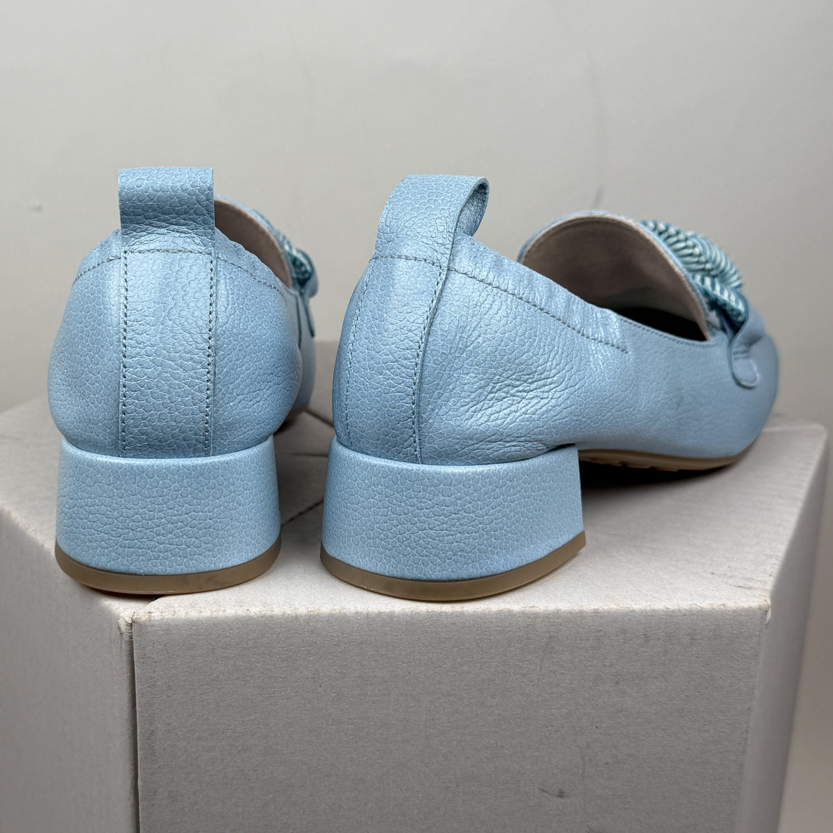 Hispanitas barbera celeste