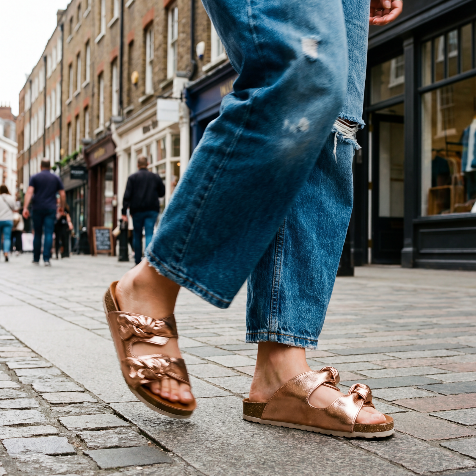 Verbenas rain monrovia